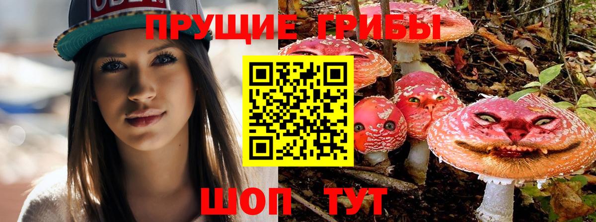сколько стоит  Псилоцибиновые грибы Magic Shrooms  Вход с VPN  Минусинск 